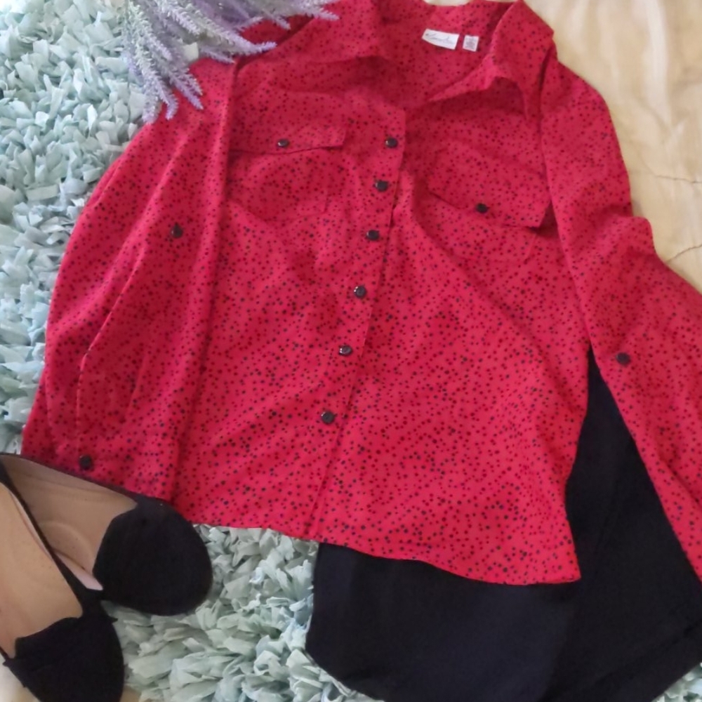 Kim Roger's Blouse 🌈